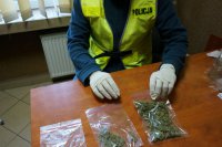 policjant z woreczkami strunowymi z zawartością marihuany
