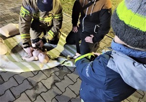 Na zdjęciu strażak, mężczyzna i chłopiec przy stanowisku z fantomem do ćwiczenia udzielania pierwszej pomocy.